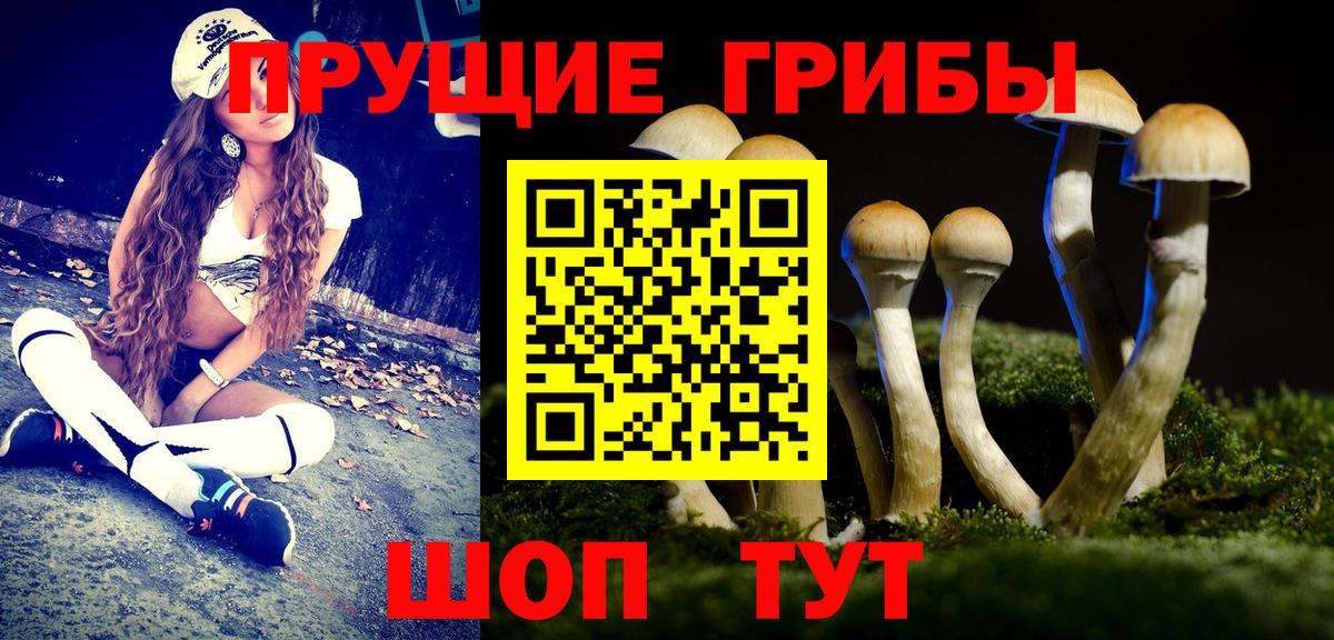 Галлюциногенные грибы ЛСД Жуковский
