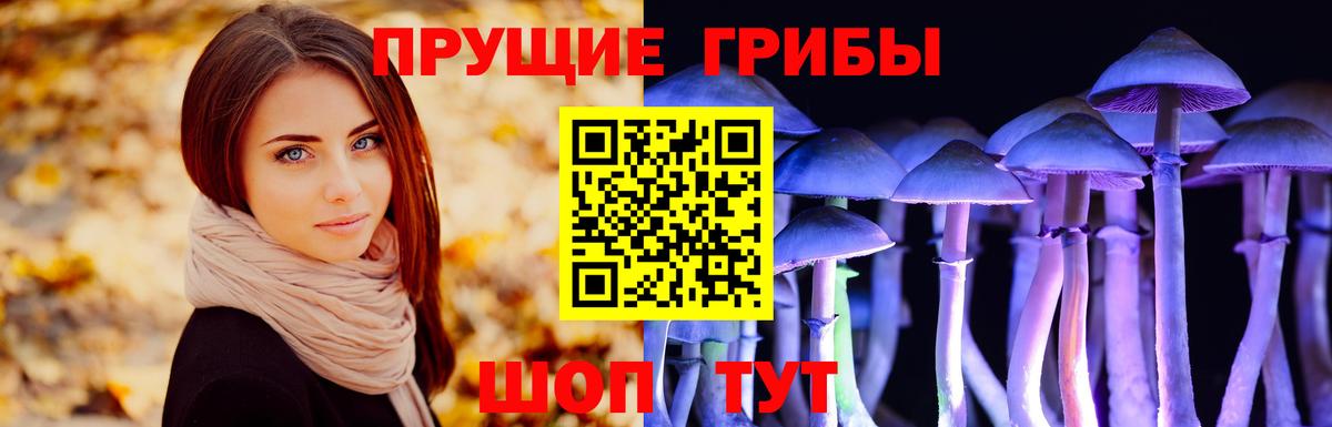 Жуковский  Псилоцибиновые грибы Cubensis  Вход с VPN 